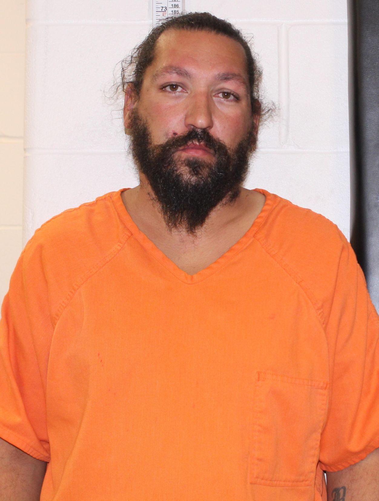 Bryan Neil Arvidson